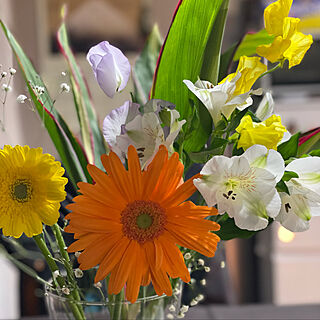 お花のある暮らし/古民家/キッチンのインテリア実例 - 2021-03-08 18:16:45