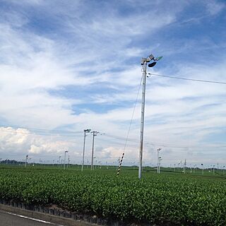 うちの近所/茶畑のインテリア実例 - 2013-09-06 20:26:41