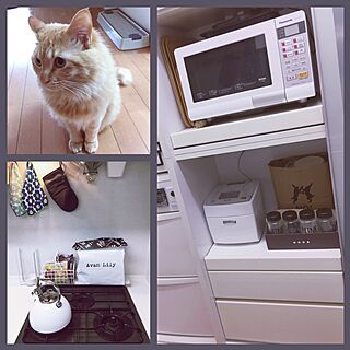 キッチン/アフタヌーンティー雑貨/セリア/いたずら猫との暮らし/IKEA...などのインテリア実例 - 2017-05-18 14:05:55