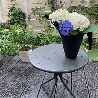 雨の日の楽しみ方/IKEA/植物/カフェ風/縁側ウッドデッキ...などのインテリア実例 - 2022-06-25 17:51:30