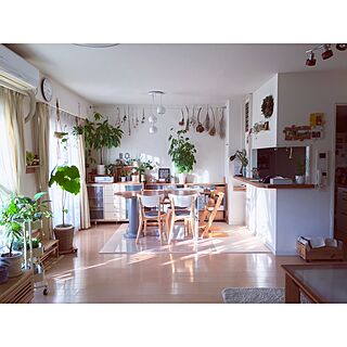 部屋全体/植物のある暮らし/DIY/IKEA/無印良品...などのインテリア実例 - 2016-01-22 20:11:02
