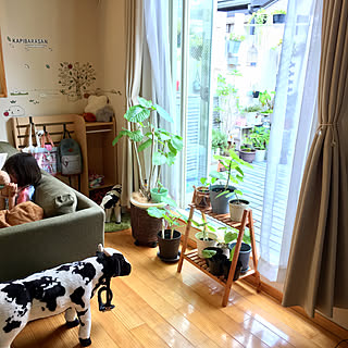 部屋全体/ベランダガーデニング/ベランダガーデン/中古住宅/植物のある暮らし...などのインテリア実例 - 2017-07-30 11:30:00