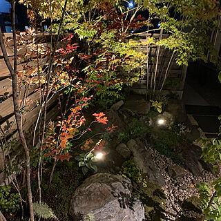 秋めいてきた庭/夜の庭/和風の庭/苔庭/紅葉...などのインテリア実例 - 2021-10-15 10:09:00