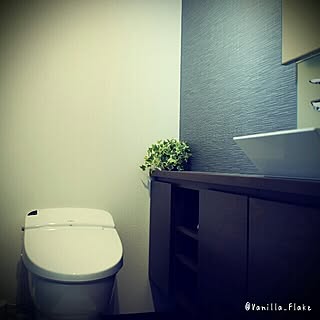 バス/トイレ/シック/造り付け棚/人工観葉植物/トイレのインテリア実例 - 2014-10-07 15:34:46