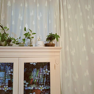 ベッド周り/カーテン/窓際のグリーン/観葉植物大好き❤︎/窓辺のグリーン...などのインテリア実例 - 2021-01-16 17:42:38