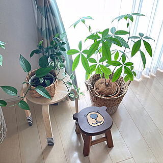 観葉植物/くまさんのスツール/北欧ナチュラル/シンプルが好き/建売住宅だけど可愛く☆...などのインテリア実例 - 2021-09-09 10:38:18