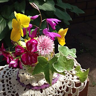 庭の花/玄関前/植物のインテリア実例 - 2013-05-10 08:14:12
