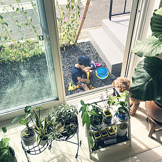 玄関/入り口/いいお天気♡/お外あそび/グリーンのある暮らし/観葉植物...などのインテリア実例 - 2018-08-18 08:44:17