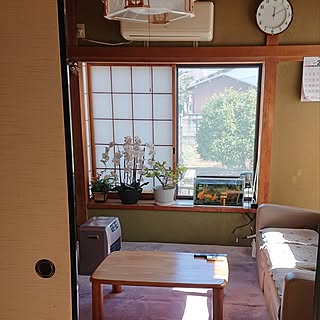 部屋全体/新生活/実家編/水槽のある部屋/金魚...などのインテリア実例 - 2024-02-24 20:52:53