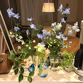 IKEA/一人暮らし/観葉植物/雑貨/照明...などのインテリア実例 - 2021-05-25 23:29:10