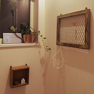 バス/トイレ/セリア/観葉植物/ナチュラル/雑貨...などのインテリア実例 - 2015-11-15 20:30:29