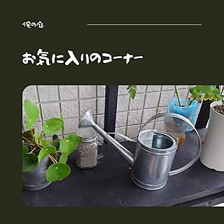 ジョーロ/ベランダ/ガーデニング/家庭菜園/ＤＩＹ...などのインテリア実例 - 2021-07-02 17:00:57