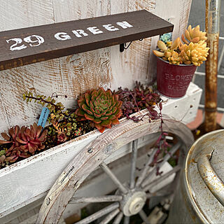 DIY/パレット/多肉植物/庭/壁/天井のインテリア実例 - 2020-02-04 08:05:11