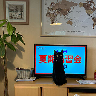 猫/ねこが好き/ねこと暮らす/猫がよろこぶ快適な部屋づくり/黒猫...などのインテリア実例 - 2022-07-12 21:53:01