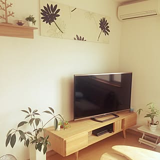 部屋全体/壁に取り付けれる棚/観葉植物増やしたい/ファブリックパネル/テレビ周り...などのインテリア実例 - 2017-06-26 10:31:44