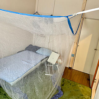 虫対策/蚊帳/ベッド周りのインテリア実例 - 2020-05-29 21:25:23