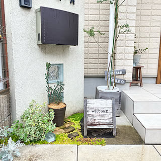 玄関 入り口 ミモザの鉢植えのインテリア実例 Roomclip ルームクリップ