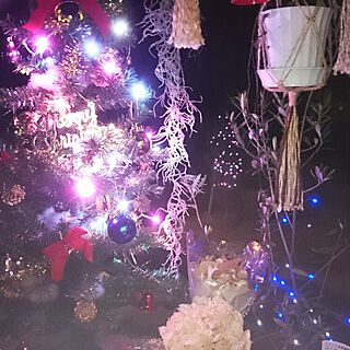 リビング/クリスマス/RC福島支部/81組/クリスマスツリー...などのインテリア実例 - 2015-11-10 18:19:32