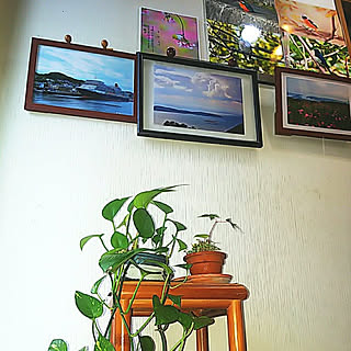 玄関/入り口/観葉植物/写真を飾るのインテリア実例 - 2022-06-05 18:39:38