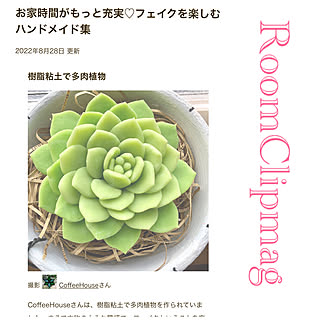 RoomClip mag/手作り雑貨/ハンドメイド作品/CoffeeHouseWorks/クレイ多肉...などのインテリア実例 - 2022-08-28 09:30:16