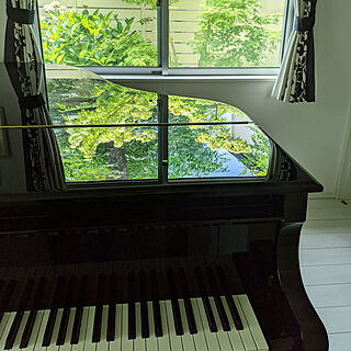壁/天井/音楽のある暮らし/ピアノ/グランドピアノ/紫陽花...などのインテリア実例 - 2020-06-25 21:09:52