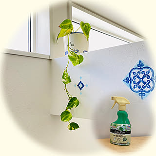 玄関/入り口/ポトス/観葉植物/多肉植物/癒しスペース...などのインテリア実例 - 2023-08-06 10:37:36