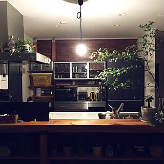 キッチン/暮らしの一コマ/ゼロキューブ/DIY/植物...などのインテリア実例 - 2018-07-26 14:21:27
