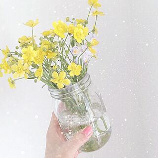 リビング/黄色/春/花/お花のインテリア実例 - 2017-04-19 10:46:01