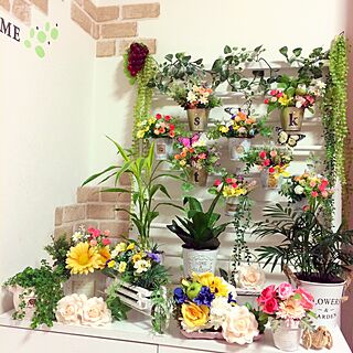壁/天井/ニトリ/おやすみなさい/植物いっぱい/お花いっぱい...などのインテリア実例 - 2016-01-30 22:43:04
