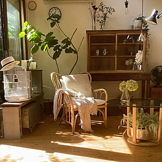 椅子/暮らしを楽しむ/植物のある暮らし/窓辺のグリーン/IKEA...などのインテリア実例 - 2022-08-03 19:34:58