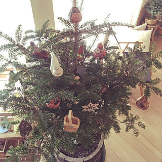 リビング/クリスマスからお正月へ/クリスマスかざり/もみの木/クリスマスツリーのインテリア実例 - 2017-12-29 14:30:52