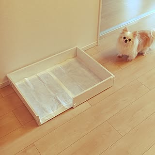 Diy 犬用トイレのインテリア 手作りの実例 Roomclip ルームクリップ