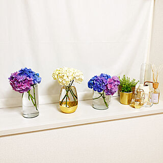 紫陽花が好き♡/IKEA/出窓ガーデン/多肉植物/棚のインテリア実例 - 2021-06-07 01:10:14