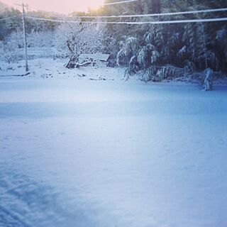 窓からの景色/雪のインテリア実例 - 2013-12-28 08:51:06
