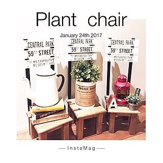 部屋全体/植物台/植物台DIY/植物棚/NO GREEN NO LIFE...などのインテリア実例 - 2017-01-24 05:45:07