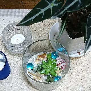 棚/飲み仲間♥/刺繍大好き❤/いつもいいね！ありがとうございます♪/ドライ大好き❤︎...などのインテリア実例 - 2017-05-18 22:44:39