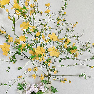 壁/天井/一人暮らし/お花/お花大好き♥/お花を飾る...などのインテリア実例 - 2020-04-04 06:51:42