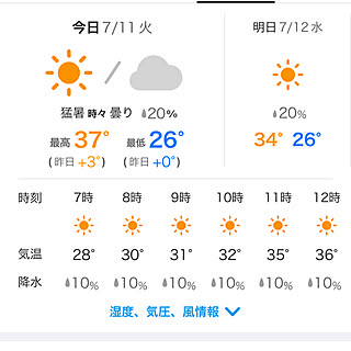 千葉市美浜区/なんじゃこりゃー/平日休み/こどもと暮らす/2人と2匹暮らし...などのインテリア実例 - 2023-07-11 07:26:01