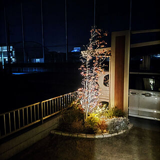 ガーデンライト/シンボルツリー/オーデリック 照明/玄関/入り口のインテリア実例 - 2022-02-26 20:14:04