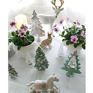 リビング/クリスマス/花のある暮らし/花を飾って楽しむ/ピンクのビオラ...などのインテリア実例 - 2020-11-21 10:02:28