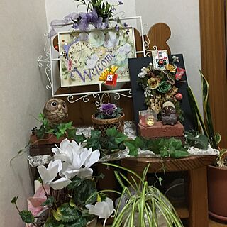 玄関/入り口/観葉植物のインテリア実例 - 2017-01-01 16:42:52
