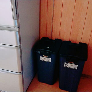 キッチン/ゴミ箱のインテリア実例 - 2020-04-04 19:44:12