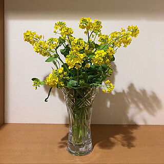 花瓶/玄関ディスプレイ/菜の花/黄色い花/お花のある暮らし...などのインテリア実例 - 2021-03-28 21:29:56