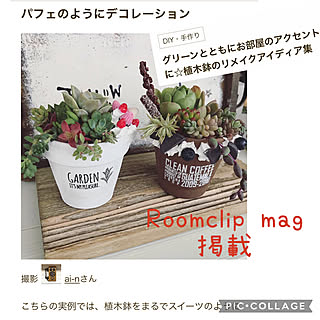 ベランダガーデン/スイーツデコ/植木鉢リメイク/多肉植物/RoomClip mag 掲載...などのインテリア実例 - 2021-12-04 20:59:37