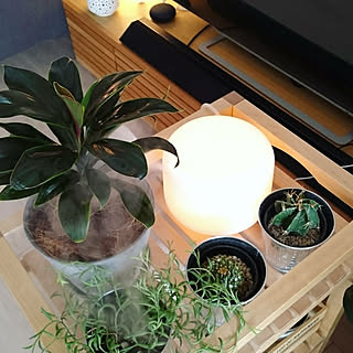 アロマディフューザー/無印良品/グリーンのある暮らし/観葉植物/グリーンインテリア...などのインテリア実例 - 2018-07-06 09:50:32