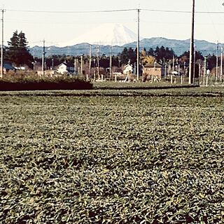360°茶畑付近/富士山/本日は晴天なり/朝は-2℃のインテリア実例 - 2014-12-07 10:32:31