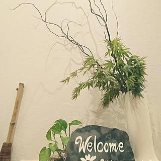 玄関/入り口/観葉植物/みどりのある暮らし/ポトス/セリアほうき...などのインテリア実例 - 2019-05-01 22:22:34