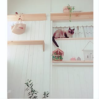 mintcatさんの実例写真