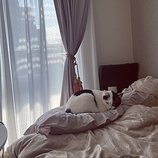猫の日/Francfranc/ねこのいる日常/パリのアパルトマンに憧れる/小さなお部屋...などのインテリア実例 - 2022-02-23 06:09:57