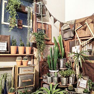 壁/天井/JUNK/【植中毒】/NOGreenNOLife/植物のある暮らし...などのインテリア実例 - 2016-05-11 19:06:31